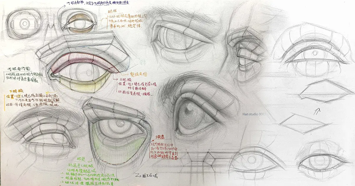 眼睛 網站尺寸 1 1 1