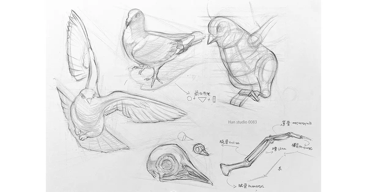 鴿子 網站封面尺寸 1