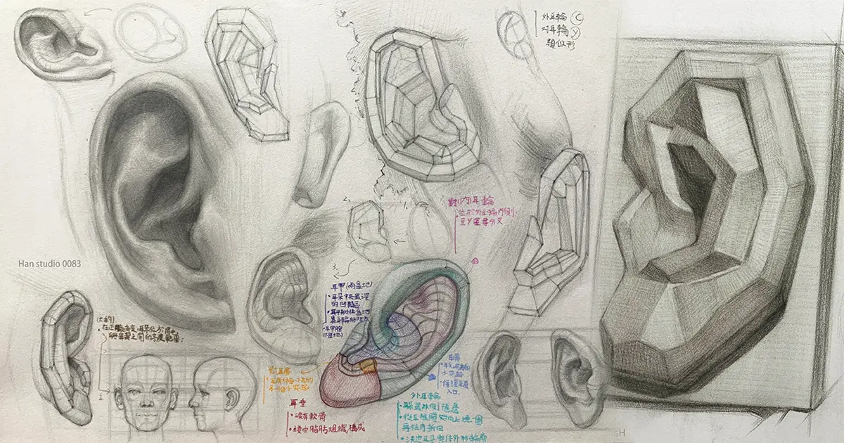 耳朵 網站尺寸 1 1