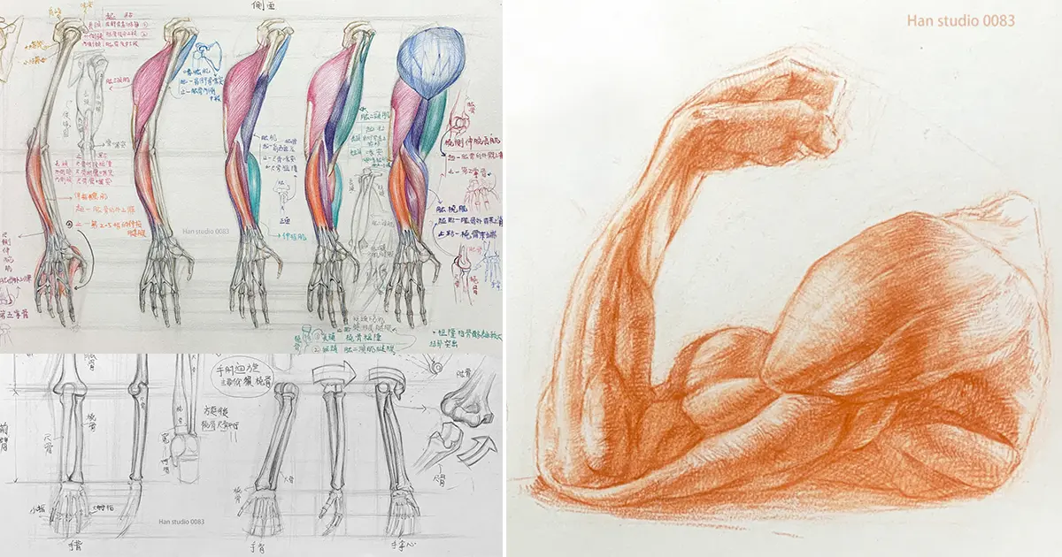 手臂 網站封面 1