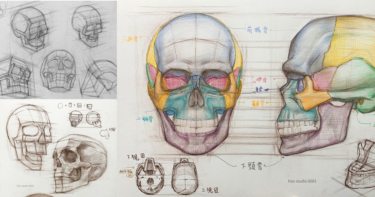 頭骨1 網站封面